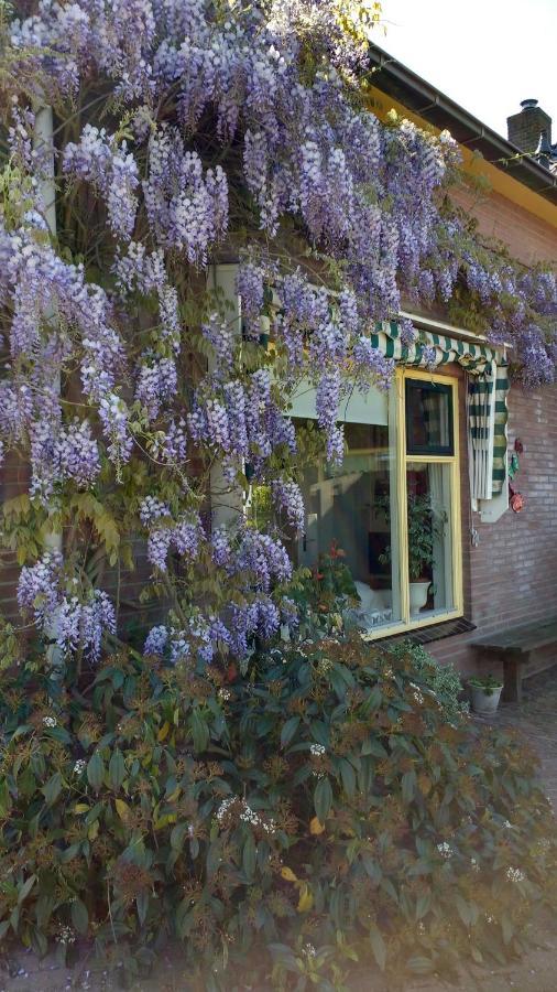 B&B De Vlinder Hardenberg Kültér fotó