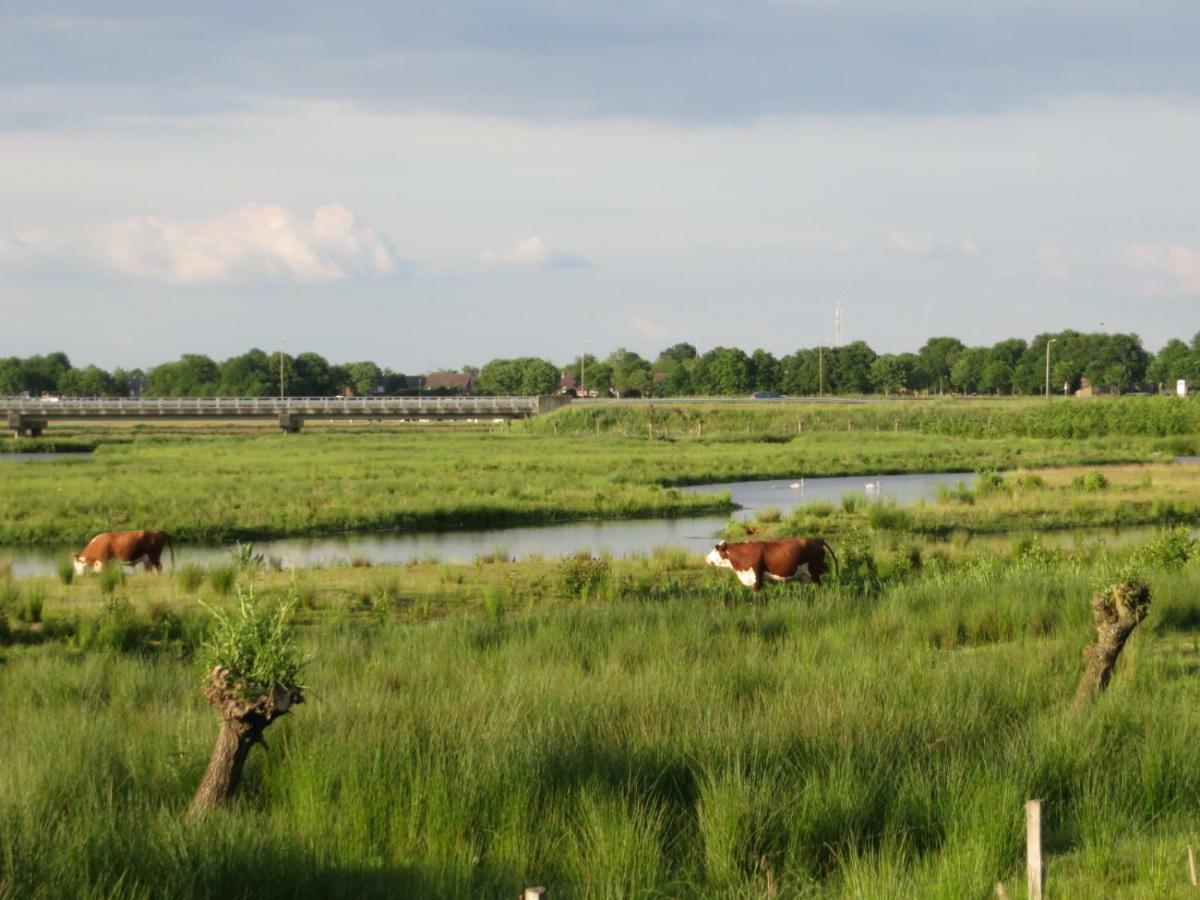 B&B De Vlinder Hardenberg Kültér fotó